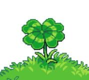 Team Clover LLC