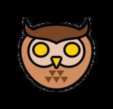Acute Owl Studio logo