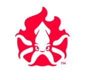 Firesquid logo