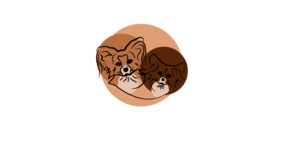 Big Little Bears logo