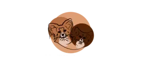 Big Little Bears logo