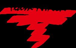 Team NINJA company logo