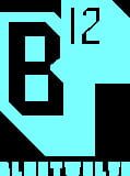 BlueTwelve Studio company logo