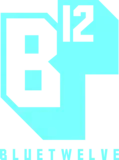 BlueTwelve Studio logo