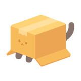 Studio Boxcat