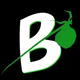 Bindlestick Media logo