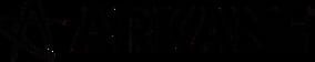 Arkane Studios company logo