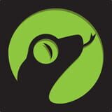 Lizard Factory logo
