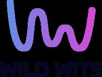 WILD WITS GAMES company logo