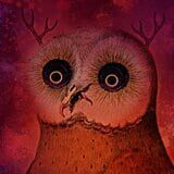 SnowOwl