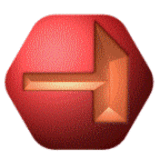 Noah Pauw logo
