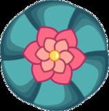 Dry Cactus company logo