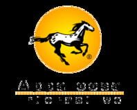 Appaloosa Interactive logo