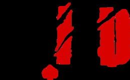 Studio Wildcard company logo