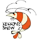 Kekkonsnow logo