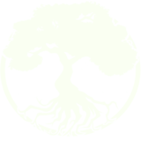 Treegrow Studios