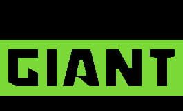 Nimble Giant Entertainment