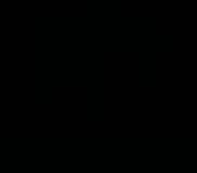 Saber Interactive company logo