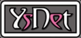Ys Net company logo