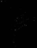 DarkDaxter