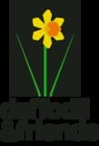 daffodil & friends
