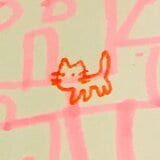 nnnn²cat