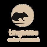 Tinymice Entertainment logo