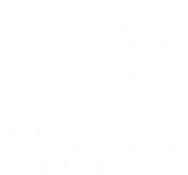 Skydivers Studio logo