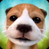 Swift Apps LLC