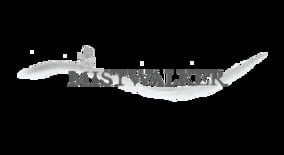 Mistwalker company logo