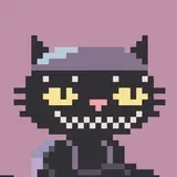 AllCityKitty logo