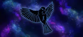 Nightsparrow logo