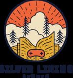 Silver Lining Studio company logo