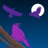 Raven Swarm Studio logo