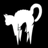 Bartoszewicz Productions logo
