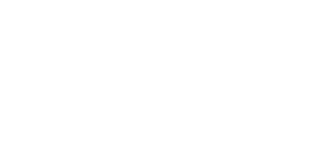 Vividesca Games logo