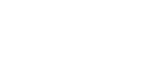 Vividesca Games logo