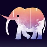 Wonderful Elephant