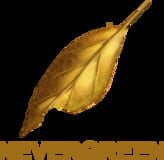 Nevergreen Games