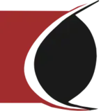 DDemon logo
