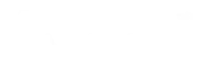 AnimicGame logo