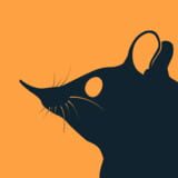 Elephant Shrew Crew logo