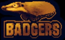 Badgers Studios