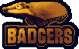 Badgers Studios