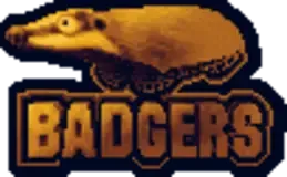 Badgers Studios logo