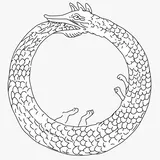 Cooperativa Graça logo