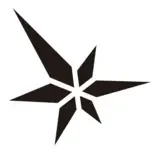 Darkwinter Software logo