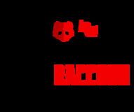 Space Raccoon Game Studio logo