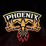 EvolvedPhoenix Studios logo