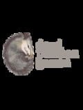 Dead Possum Games